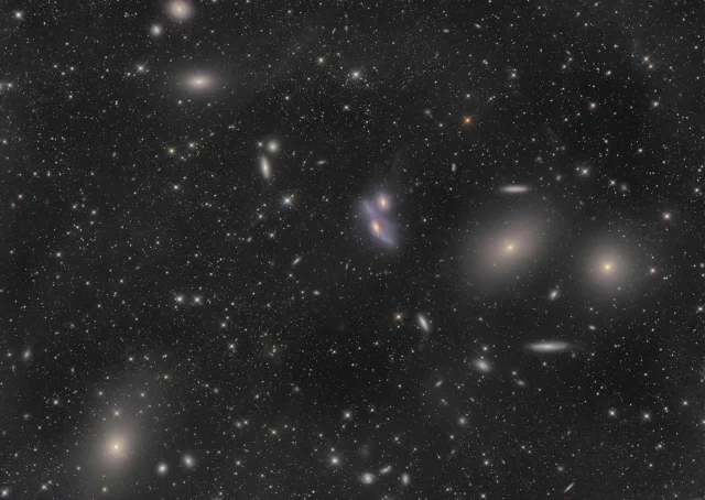 Virgo Cluster Galaxies