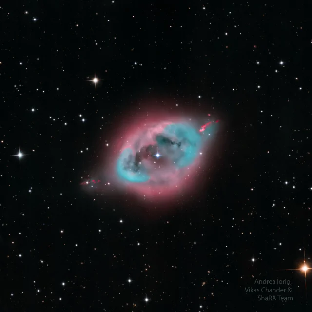 NGC 1360: The Robin's Egg Nebula