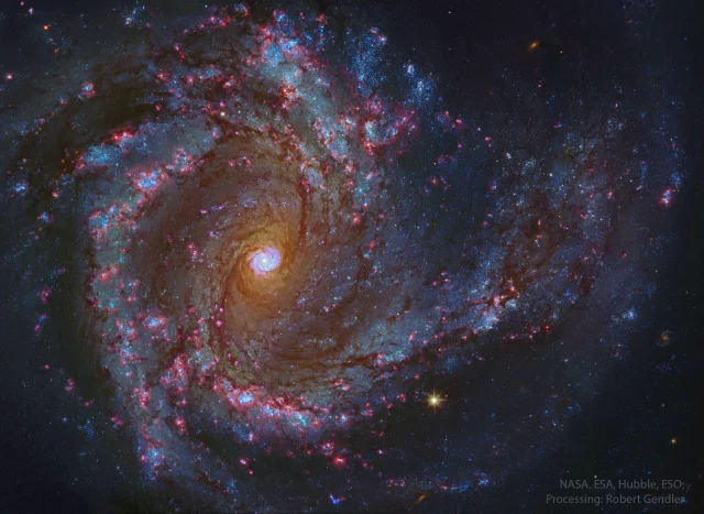 In the Center of Spiral Galaxy M61