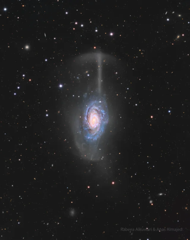 NGC 4651: The Umbrella Galaxy